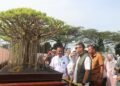 Kabupaten Bogor Jadi Tuan Rumah Kompetisi Bonsai Tingkat Nasional