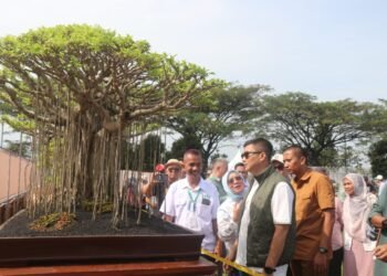 Kabupaten Bogor Jadi Tuan Rumah Kompetisi Bonsai Tingkat Nasional