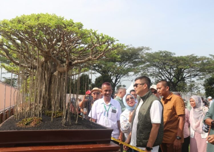 Kabupaten Bogor Jadi Tuan Rumah Kompetisi Bonsai Tingkat Nasional