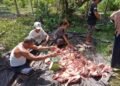 Diskanak Sarankan Panitia Kurban Tak Gunakan Plastik Hitam untuk Bagikan Daging