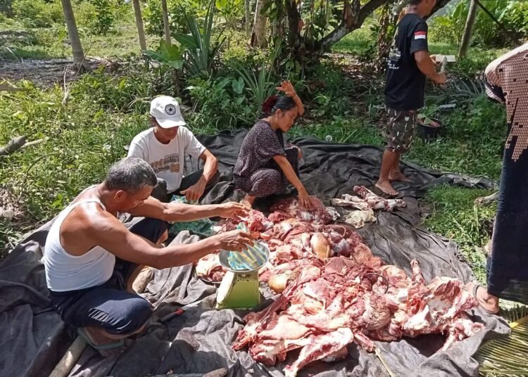 Diskanak Sarankan Panitia Kurban Tak Gunakan Plastik Hitam untuk Bagikan Daging