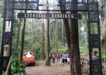 Niat Trekking, Pria 60 Tahun Hilang di Gunung Halimun Salak