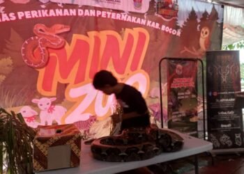 Keluhan Diakhir Kabogorfest, Parkir Gratis Jadi Berbayar hingga Banjir di Lokasi 