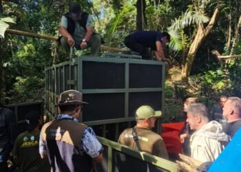 Taman Safari Bogor Partisipasi Persiapan Translokasi Badak Jawa