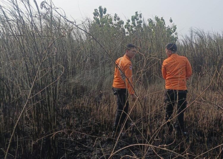 Gara-gara Bakar Rumput, Lahan 130 Meter di Klapanunggal Ludes Terbakar