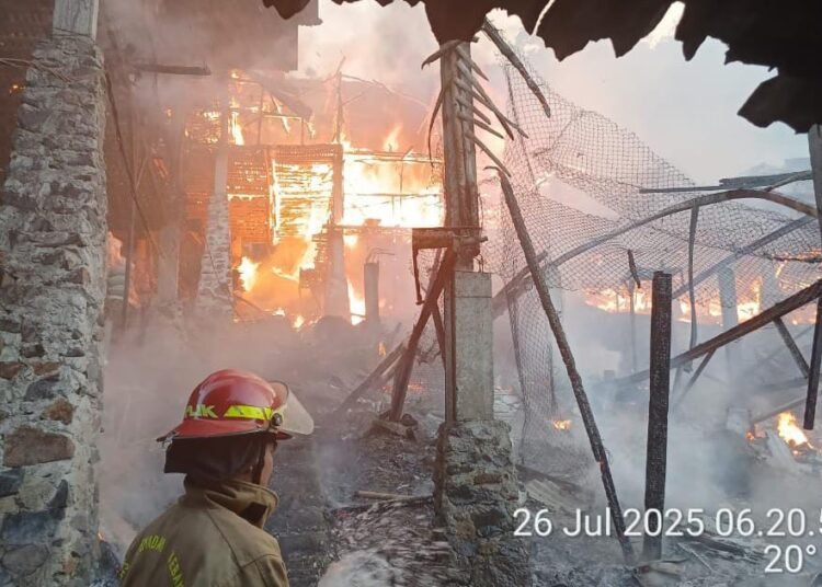 Peternakan di Cigudeg Kebakaran, Ratusan Ayam Terpanggang