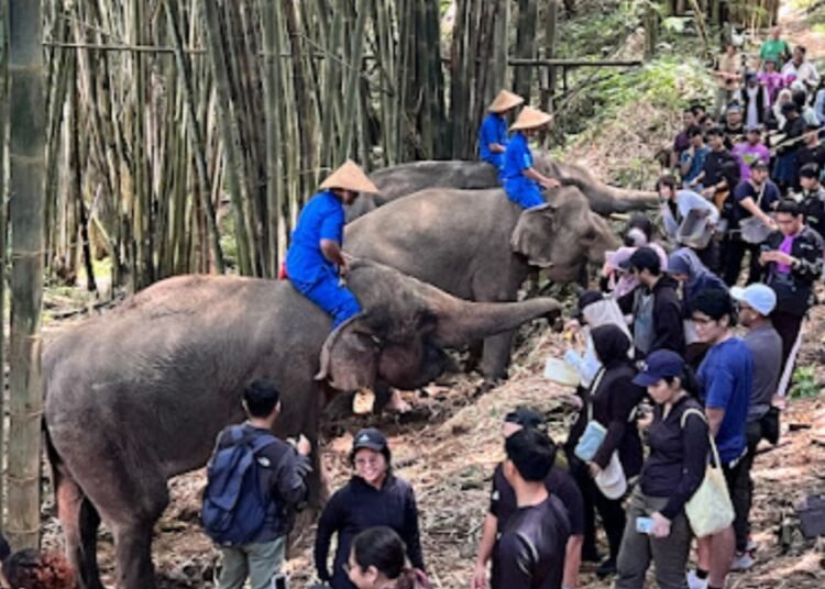 Safari Trek Premium, Sensasi Olahraga yang Mengubah Cara Kamu Melihat Alam!