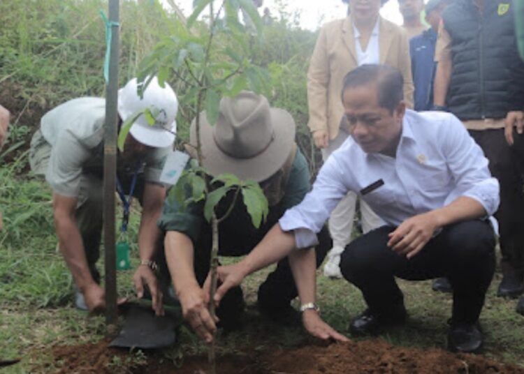 Komitmen Pelestarian Lingkungan, Menteri LH dan Taman Safari Bogor Tanam Pohon Bersama