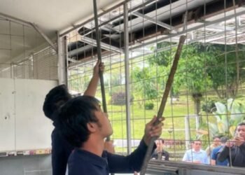 Setelah Dapat Peringatan, Sejumlah Bangunan Usaha Melanggar di Puncak Dibongkar