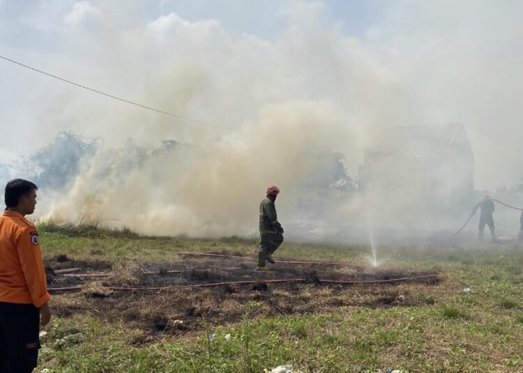 Ludes, Lahan 400 Meter di Cariu Diduga Dibakar