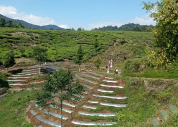 Jalan Rusak, Minim PJU dan Sinyal jadi PR Pemkab Bogor Tata Malasari