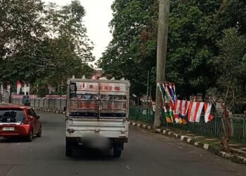 Melintas di Jalan Tegar Beriman, Bendera One Piece Berkibar di Kawasan Pemda