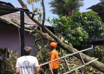Tujuh Kampung di Bojonggede Diterjang Angin Kencang, 75 Rumah Warga Rusak
