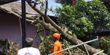 Tujuh Kampung di Bojonggede Diterjang Angin Kencang, 75 Rumah Warga Rusak