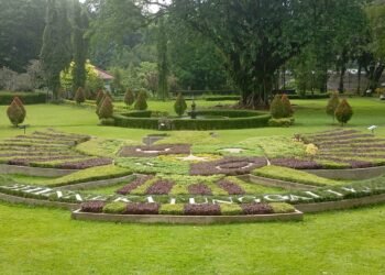 Taman Soejana Kassan Kebun Raya Bogor Sajikan Keindahan Garuda Pancasila