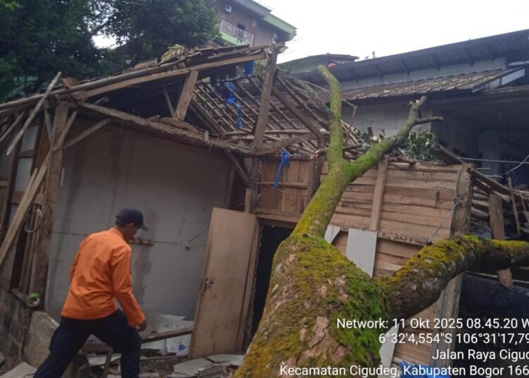 Rumah di Cigudeg Ambruk Usai Tertimpa Pohon, 3 Warga Mengungsi