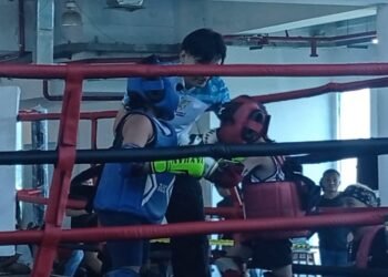 Event Bogor Striking Fight Digelar di TTM, Ratusan Petarung Bertanding 