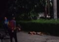 Pria Tewas Bersimbah Darah di Cibinong Usai Diduga Duel