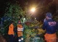2 Pohon Besar Tumbang di Jalan Tirto Adhi Soerjo Kota Bogor