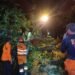 2 Pohon Besar Tumbang di Jalan Tirto Adhi Soerjo Kota Bogor