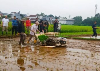 HUT ke-39, PTI Komitmen Terus Jaga dan Kembangkan Sektor Pertanian