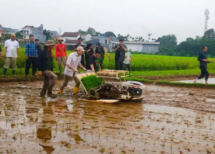 HUT ke-39, PTI Komitmen Terus Jaga dan Kembangkan Sektor Pertanian