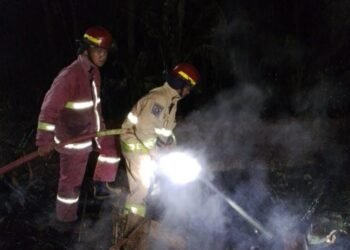 Korsleting Listrik Sebabkan 19 Kambing di Pamijahan Terbakar