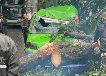Cuaca Ekstrem, Pohon Tumbang Timpa Angkot di Jalan Pajajaran