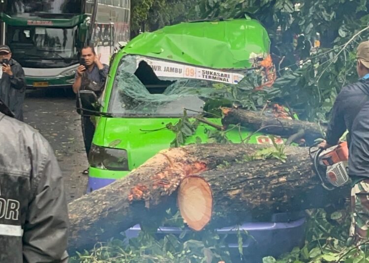 Cuaca Ekstrem, Pohon Tumbang Timpa Angkot di Jalan Pajajaran