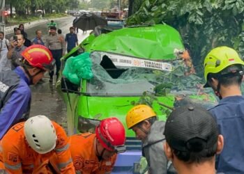 Cerita Sopir Angkot yang Tertimpa Pohon di Jalan Pajajaran: "Sedikit Kena Kaca"