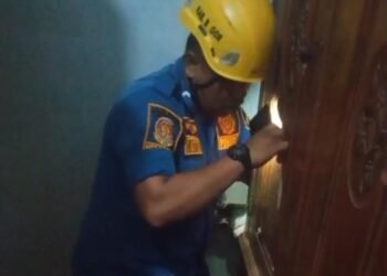 Damkar Kabupaten Bogor Evakuasi Kucing yang Terjebak di Celah Lemari 