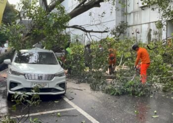 Pohon Tumbang Timpa Mobil Terparkir di Babakan