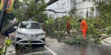 Pohon Tumbang Timpa Mobil Terparkir di Babakan