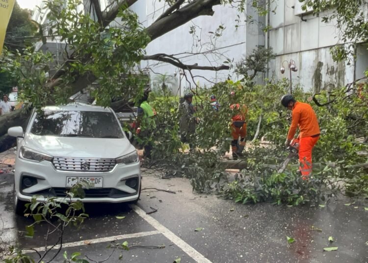 Pohon Tumbang Timpa Mobil Terparkir di Babakan