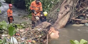 Hujan Deras Disertai Angin Kencang, Kota Bogor Diterpa 14 Bencana