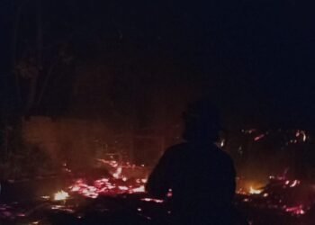 Tungku Terlalu Panas, 4 Ribu Ekor Ayam di Cibinong Terpanggang