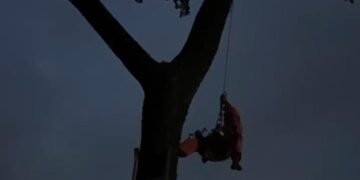 Saat Damkar Bogor Evakuasi Drone Nyangkut di Pohon