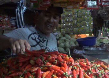 Harga Cabai Rawit Merah di Cianjur tembus Rp100 ribu