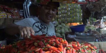 Harga Cabai Rawit Merah di Cianjur tembus Rp100 ribu