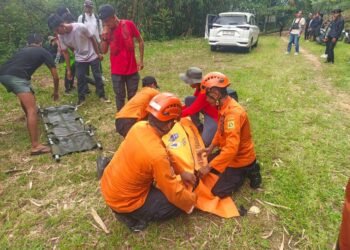 ASN BPKAD Kabupaten Bogor Meninggal Dunia Saat Trekking di Sentul