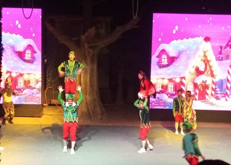 Taman Safari Hadirkan ‘Rimba Warna’ dengan Jutaan Lampu LED pada Momen Nataru