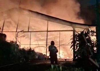 Korsleting Listrik di Gudang, 100 Unit Golf Car Cibinong Terbakar