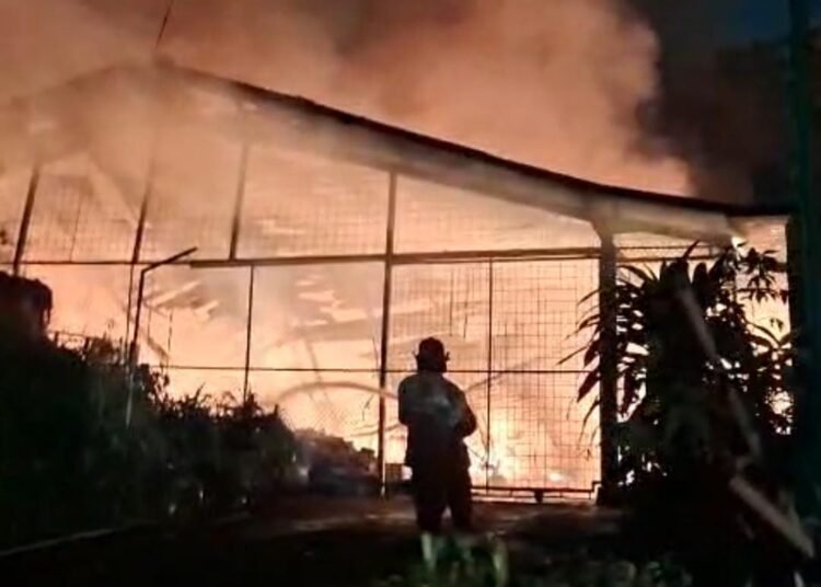 Korsleting Listrik di Gudang, 100 Unit Golf Car Cibinong Terbakar