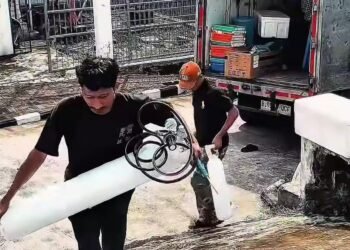 Siap Kirim ke Vietnam, 20 Ribu Benih Lobster Ilegal Diamankan di Parungpanjang