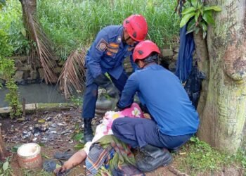 Pria di Bojonggede Tewas Tersengat Listrik Saat Tebang Pohon