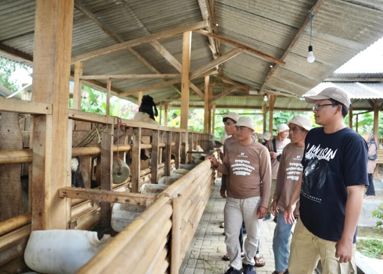 Badan Bank Tanah Berdayakan Peternak Reforma Agraria di Cianjur
