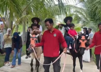 Akhir Masa Libur Sekolah Tempat Wisata di Cianjur Masih Dipadati Pengunjung