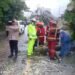 Pohon Tumbang Jalur Puncak Ciloto Cianjur Sempat Tertutup