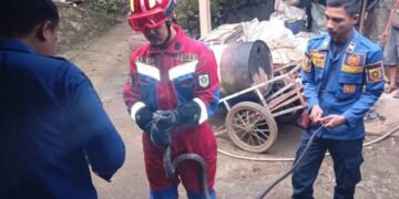 Ular King Cobra 2 Meter Masuk ke Rumah Warga Cariu : Bukan yang Pertama