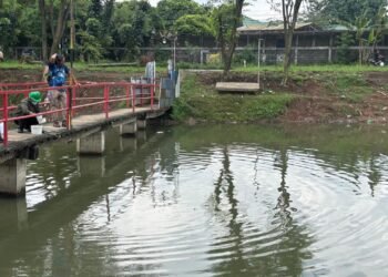 DLH Uji Sampel Air Situ Citongtut Buntut Matinya Ribuan Ikan